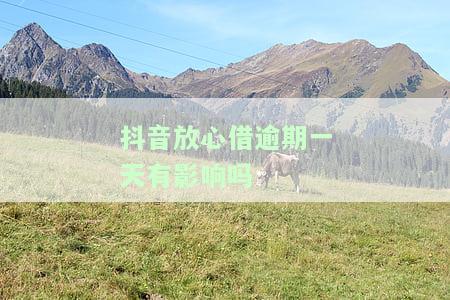 抖音放心借逾期一天是否会上征信？了解宽限期及可能的影响