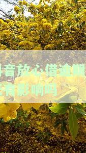 抖音放心借：有宽限期吗？逾期几天会上征信？第二天还款算逾期吗？还款晚一天怎么办？