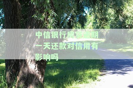 中信银行房贷逾期一天还款是否会影响信用？解决办法是什么？