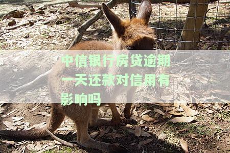 中信银行房贷还款逾期一天补救办法：真的有效吗？逾期一天还款是否会影响信用？晚还一天会否上征信？详细解决方案在此！
