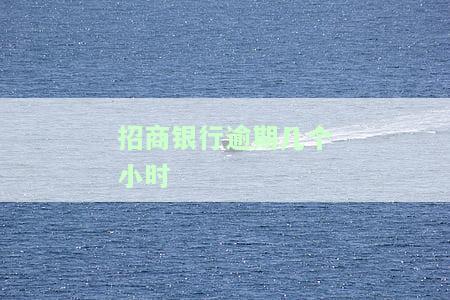 招商银行逾期几个小时会上征信：影响及处理方式