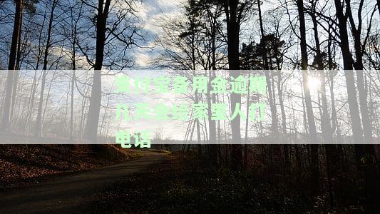 支付宝备用金逾期几天会给家里人打电话吗？真的会联系家人朋友吗？