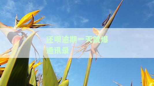 还呗逾期爆通讯录吗？逾期将面临哪些后果？