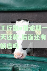 工商银行融e借逾期一次不能再借出？逾期一天有不良记录吗？能再分期吗？影响公积金贷款吗？逾期一个月会关闭还款渠道吗？