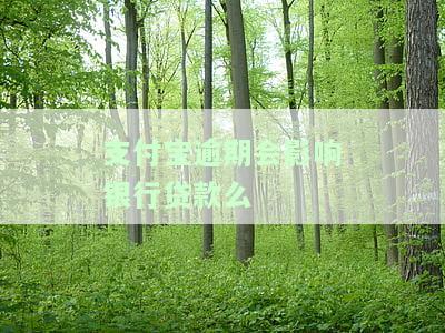 支付宝逾期是否会影响银行贷款？影响征信吗？解决方案是什么？