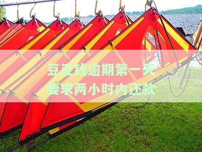 豆豆钱逾期2天6000多变成12000多？逾期后该如何处理？
