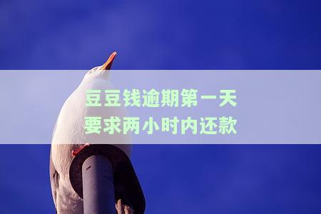 豆豆钱逾期一天100元手续费，能减免吗？合法性、一个月费用及一次性收取合理性探讨