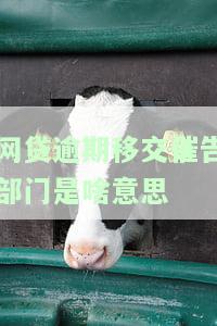 网贷逾期如何移交给当地相关部门进行立案处理？流程、时间及影响个人隐私的因素解析