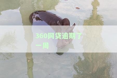 360网贷逾期了一周