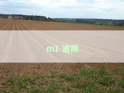 m1 逾期
