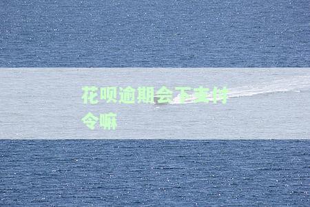 花呗逾期对支付宝收钱有影响吗？逾期是否会影响收款、征信及使用权限？