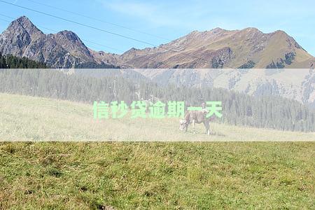 信秒贷逾期一天上征信吗？影响大吗？能否续贷？