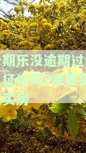 分期乐无逾期却无法借款：原因及解决办法
