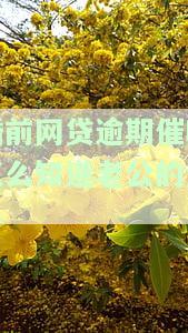 催收电话有权打到离婚配偶公司吗？网贷催收电话也这样吗？催收人员最怕的三种人是谁？一般会打几个联系人？