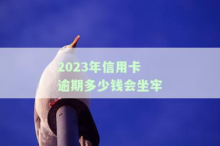 2020/2021年信用卡逾期多少金额会遭起诉？成功率如何？