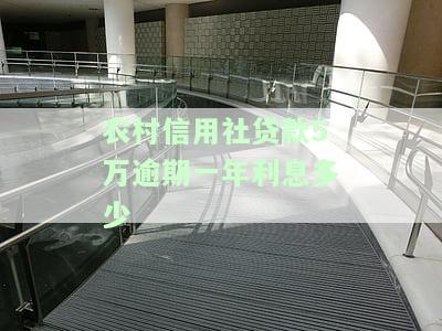 农村信用社贷款5万逾期一年利息多少