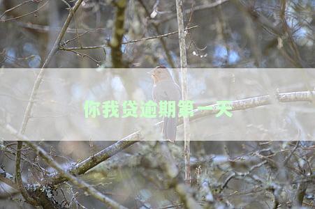 你我贷逾期第一天语音提示两小时还款：催收短信、电话要求2点半前还清