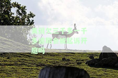 美团欠款逾期会被起诉开庭吗？欠千余元是否会被判刑？