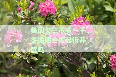 欠美团一千三百块被起诉是否会判刑？影响因素是什么？