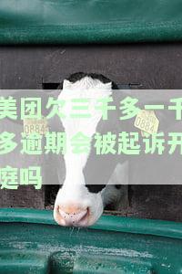 美团欠三千多一千多逾期会被起诉开庭吗-美团欠三千多一千多逾期会被起诉开庭吗