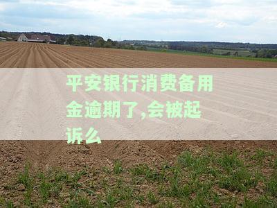 平安消费备用金还不上会怎样？逾期后果、能否再次申请及手续费问题解析