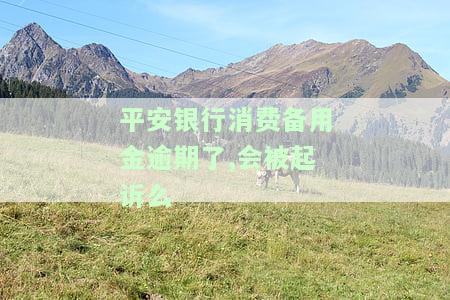 平安银行消费备用金逾期了,会被起诉么