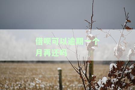 借呗可以逾期一个月再还吗
