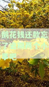 小鹅花钱逾期一天如何还款？影响再次借款和使用吗？