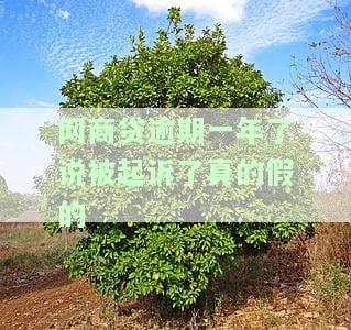 网商贷逾期一年，今天说起诉叫我回去，是真的吗？有无被起诉的案例？