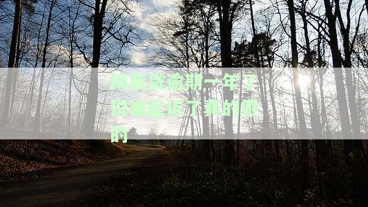 网商贷逾期1年，催收上门、短信警告，还清能否再贷买房？