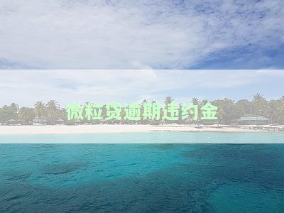 微粒贷逾期违约金
