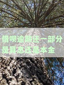 借呗逾期还一半罚息，利息如何计算？还了一部分会怎样，会被起诉吗？