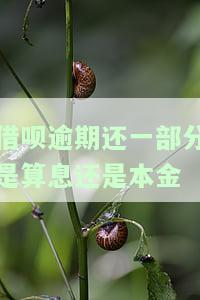 借呗逾期后还了部分仍被要求还全款，如何解决？