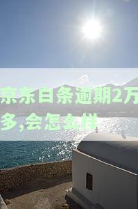 京东白条逾期两千多会被告吗？2000元逾期半年，上门催收风险大