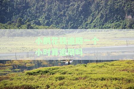 小鹅花钱逾期一天会影响征信吗？逾期有何后果及解决办法