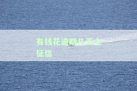 有钱花逾期多久能再借？影响再次借款的因素有哪些？
