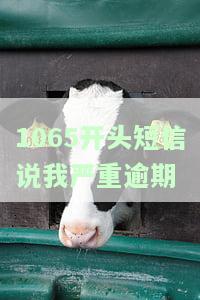 1065发来逾期短信：真实姓名曝光，或将上门催收？