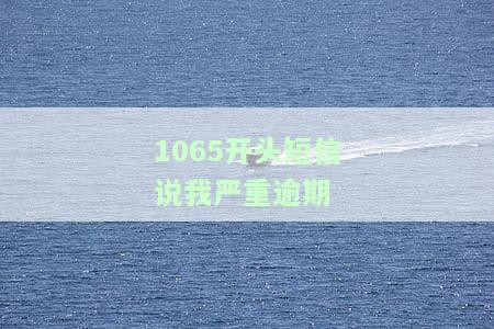 1065开头短信说我严重逾期