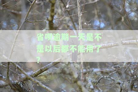 省呗逾期一天后还款，能否再次借款？安全性及影响是什么？