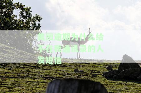 美团逾期：为何给非紧急联系人发短信？