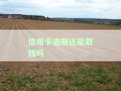 信用卡逾期还能取钱吗-信用卡逾期还能取钱吗现在