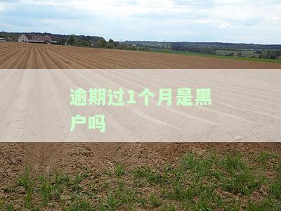 逾期一个月是否会上征信黑名单？影响及后果解析