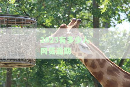 今年有多少人网贷逾期？全国数据揭示逾期人数与趋势