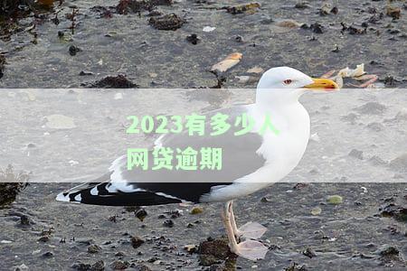 2023有多少人网贷逾期