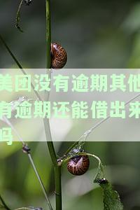 美团没有逾期，其他有逾期还能在知乎上借出来吗？