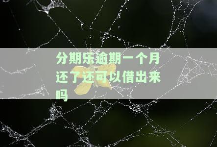 分期乐逾期一个月还完还能再借款吗？还款后能否继续申请贷款及相关疑问解答