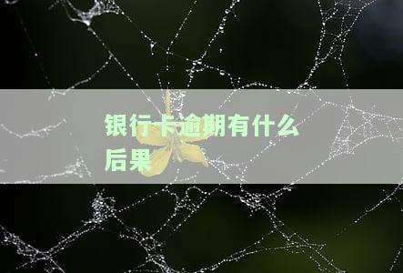 银行卡逾期有什么严重后果？逾期最严重影响是什么？不还款会怎样？