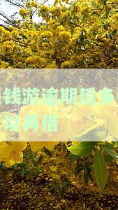 提钱游逾期2天能否再借款？影响及解决方法