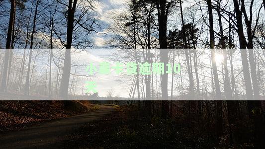 小赢卡贷逾期10天仅收催款信息，未接到电话，情况如何？