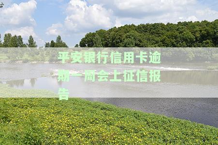 平安银行信用卡逾期一周会否上征信？真实情况如何？
